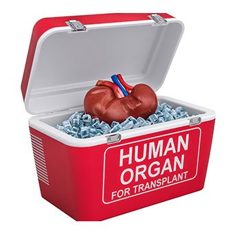 best-transplant-hospital-hyderabad